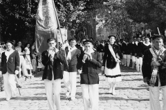 1953-1954