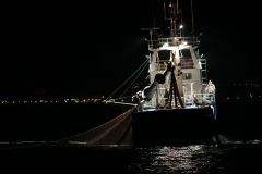 Pesca.Irun-6.jpg