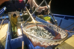 Pesca.Irun-57.jpg