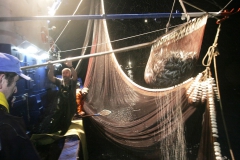 Pesca.Irun-59.jpg