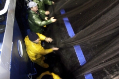 Pesca.Irun-28.jpg