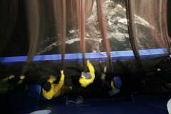 pesca.irun-15.jpg
