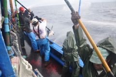 Fotos-2009-171