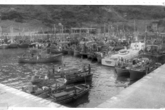 EPSON MFP image